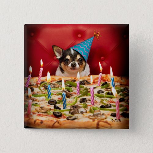 Chihuahua Birthday Pizza Pie Button