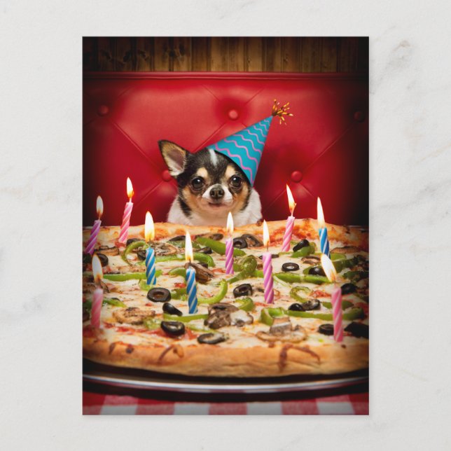 Chihuahua Birthday Pizza Pie Invitation Postcard (Front)