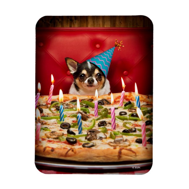 Chihuahua Birthday Pizza Pie Magnet (Vertical)