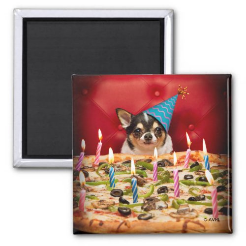 Chihuahua Birthday Pizza Pie Magnet