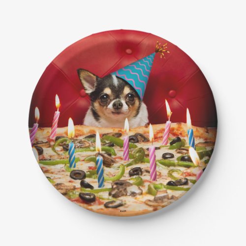 Chihuahua Birthday Pizza Pie Paper Plates