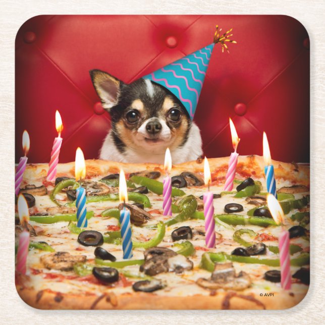 Chihuahua Birthday Pizza Pie Square Paper Coaster (Front)