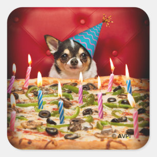 Chihuahua Birthday Pizza Pie Square Sticker