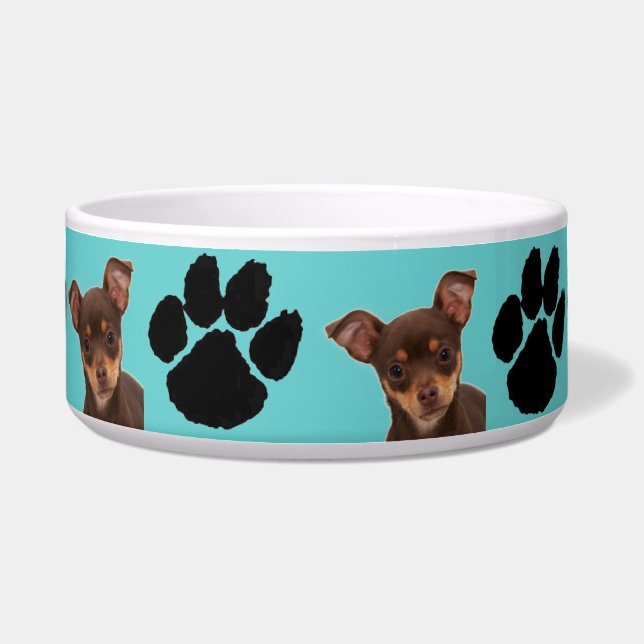Chihuahua Bowl (Front)