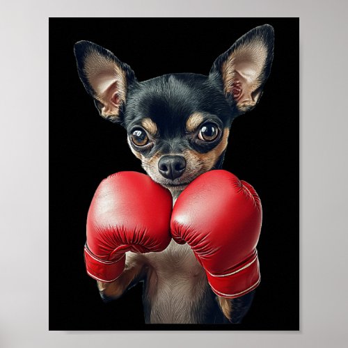 Chihuahua Boxing  Poster