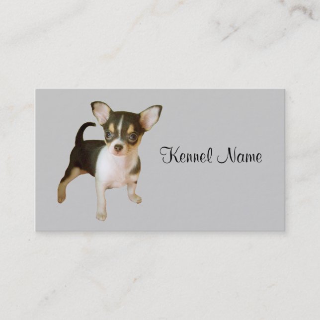 Chihuahua Breeder Business Card (Front)