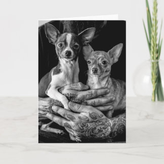 Chihuahua buddies card