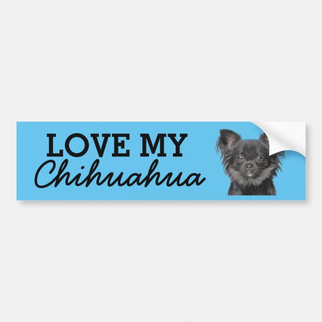 Chihuahua bumper sticker (Front)