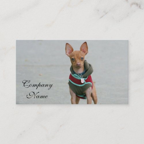 Chihuahua Business Cards