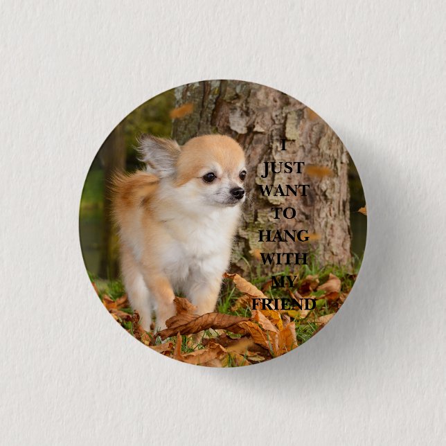 Chihuahua    button (Front)