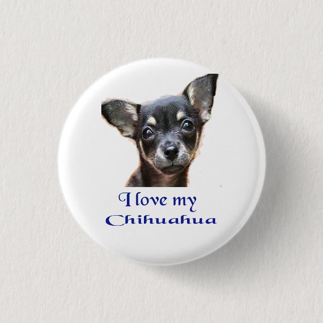 chihuahua button (Front)