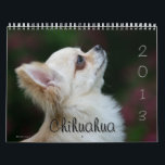 Chihuahua Calendar<br><div class="desc">Bob and Pam Langrish aim for impact,  power and natural feeling with dogs,  making Bob and Pam one of the top equine and canine photographers in the world. They prefer a natural theme,  rather than the more posed studio situations</div>