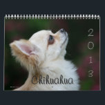 Chihuahua Calendar<br><div class="desc">Bob and Pam Langrish aim for impact,  power and natural feeling with dogs,  making Bob and Pam one of the top equine and canine photographers in the world. They prefer a natural theme,  rather than the more posed studio situations</div>