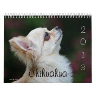 Chihuahua Calendar