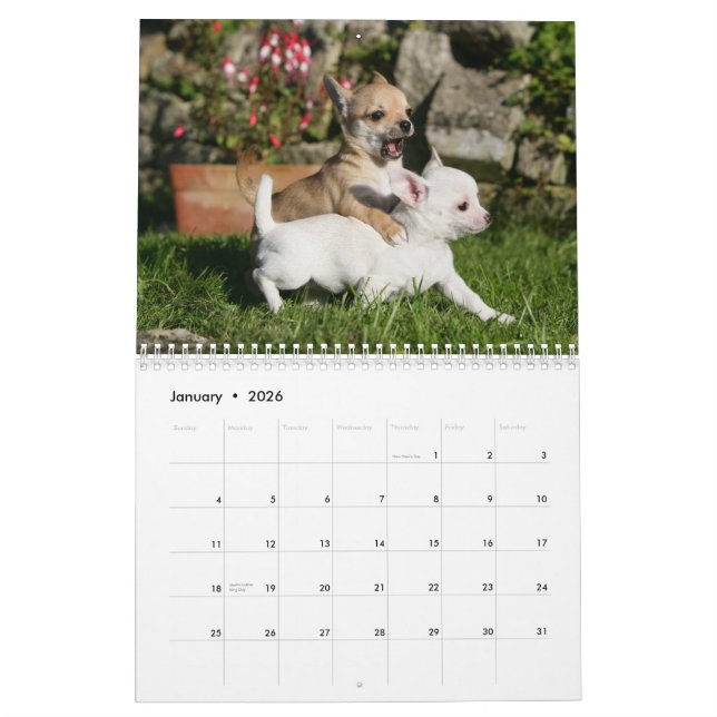 Chihuahua Calendar (Jan 2026)