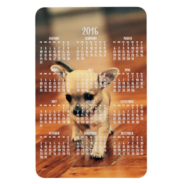 Chihuahua Calendar 2016 Photo Magnet 4x6 Large (Vertical)