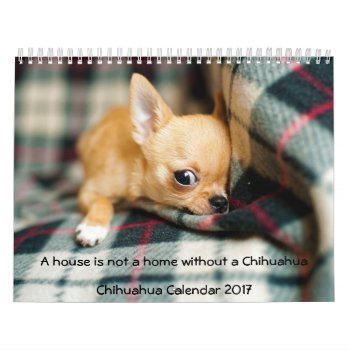 Chihuahua Calendar 2017 Photo House Is Not A Home by online_store at Zazzle