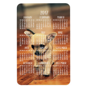 Chihuahua Calendar 2017 Photo Magnet 4x6 Large