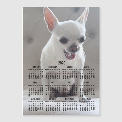 Chihuahua Calendar 2020 Magnetic Photo Card 5x7