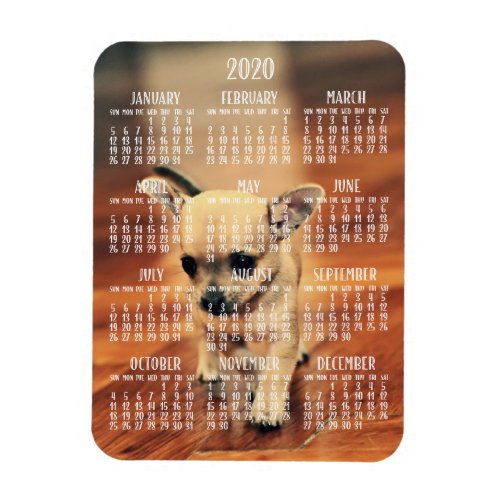 Chihuahua Calendar 2020 Photo Magnet 3x4 Small