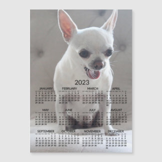 Chihuahua Calendar 2023 Magnetic Photo Card