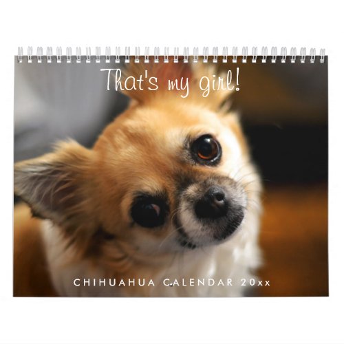 Chihuahua Calendar 2024