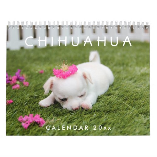 Chihuahua Calendar 2024 Add Your Photos