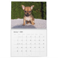 Chihuahua Calendar 2024 Keep Calm And Love | Zazzle