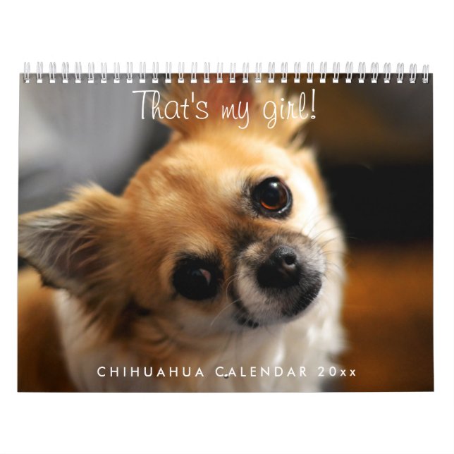Chihuahua Calendar 2026 (Cover)