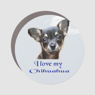 Chihuahua Car Magnet