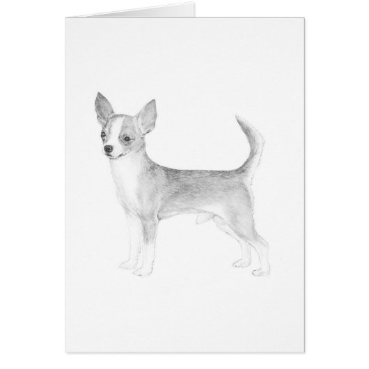 Chihuahua Cards (Front)
