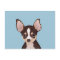 Chihuahua cartoon