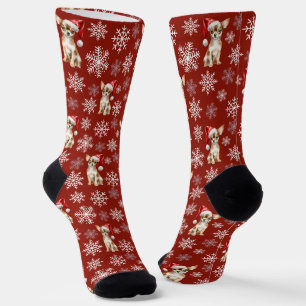 Chihuahua Chi Dog in Santa Hat Red Socks