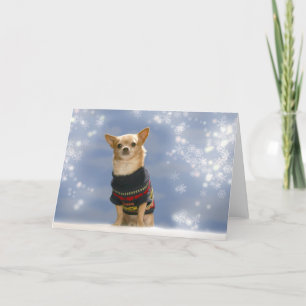Chihuahua Christmas Card