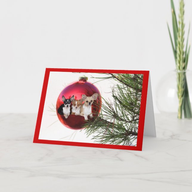 Chihuahua Christmas Card Ball (Front)