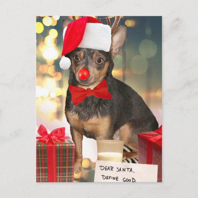 Chihuahua Christmas Holiday Postcard (Front)