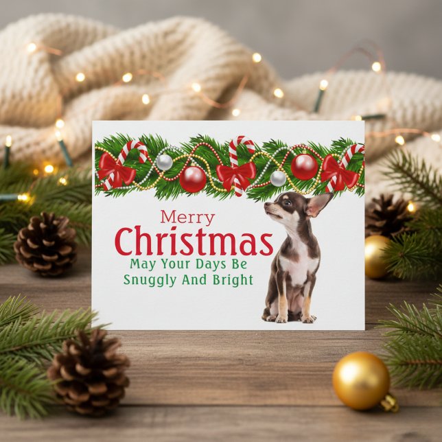 Chihuahua Christmas  Holiday Postcard (Chihuahua Christmas Holiday Postcard)