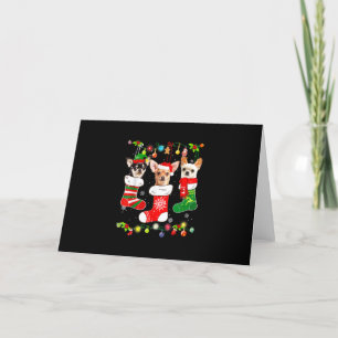chihuahua christmas lights gift funny xbut dog lov holiday card