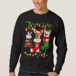 Chihuahua Christmas Lights   Xmas Dog  1 Sweatshirt