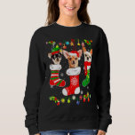 Chihuahua Christmas Lights   Xmas Dog  1 Sweatshirt
