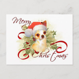 Chihuahua Christmas Postcard