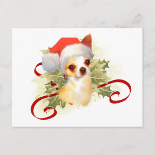 Chihuahua Christmas Postcard
