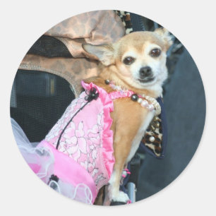 Chihuahua Classic Round Sticker