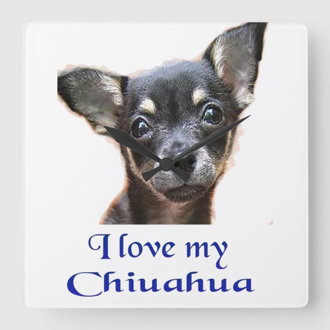 Chihuahua clock (Front)