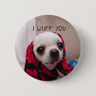 Chihuahua cute I wuff you love Valentines Button