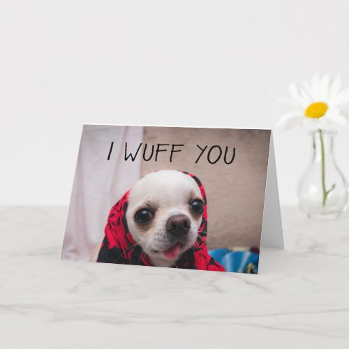 Chihuahua cute I wuff you love Valentines Card