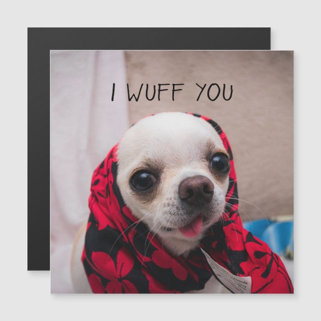 Chihuahua cute I wuff you love Valentines card (Front/Back)