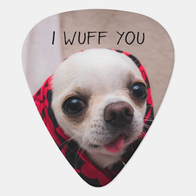 Chihuahua cute I wuff you love Valentines Guitar Pick (Front)