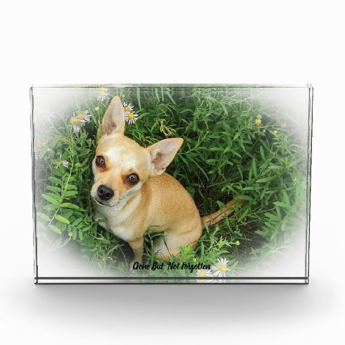 Chihuahua Dog Acrylic Award