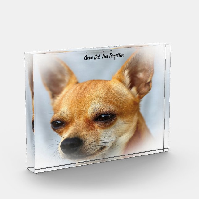 Chihuahua Dog. Acrylic Award (Left)